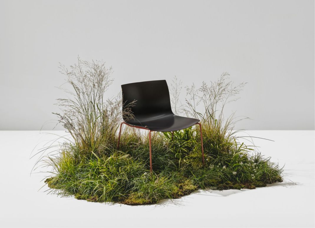 Catifa Carta: Naturally Fire-Retardant, Suitable for Safe Spaces