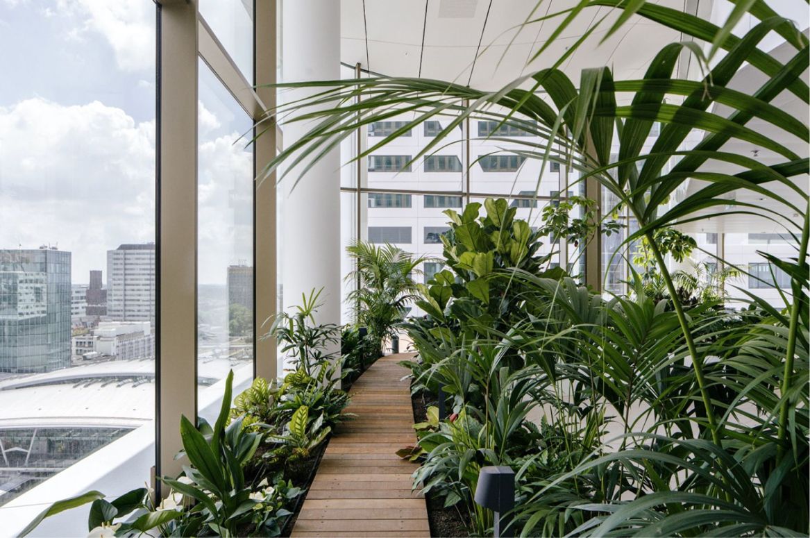 Biophilia, a science for interior design