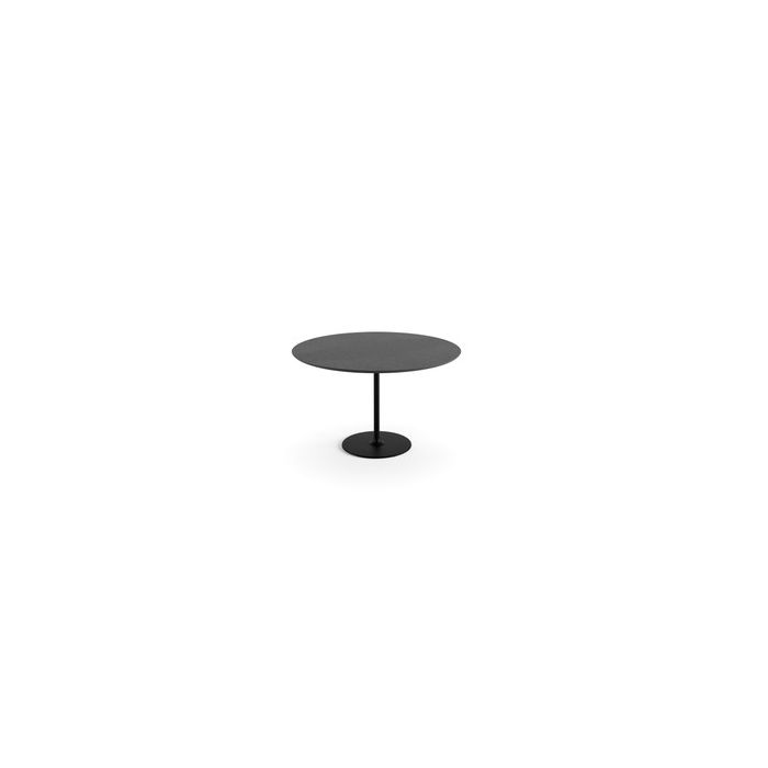 Dizzie - #0632