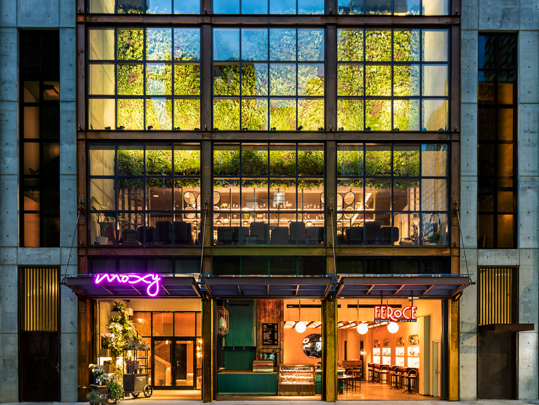 ’ingresso del nuovo Moxy hotel a Chelsea, New York, su progetto dello studio Stonehill Taylor, con il muro arboreo di tre piani che affaccia sul fronte trasparente (© Michael Kleingenberg)