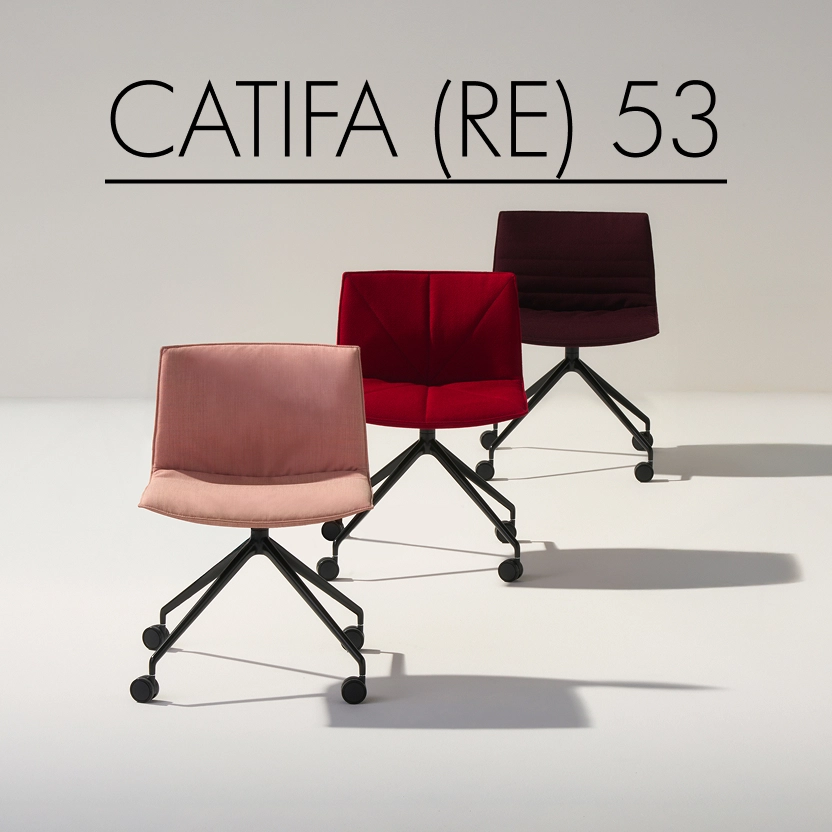 Catifa 53
