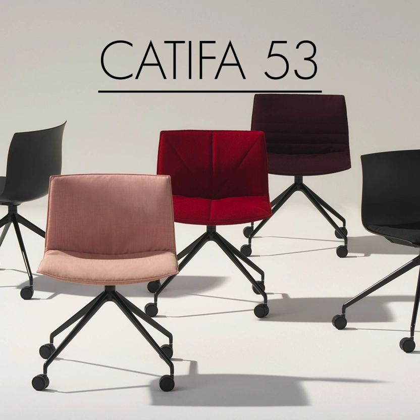 Catifa 53