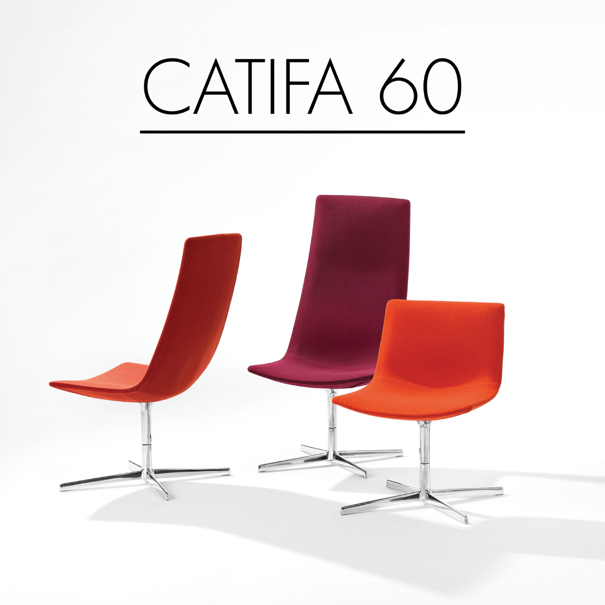 Catifa 60