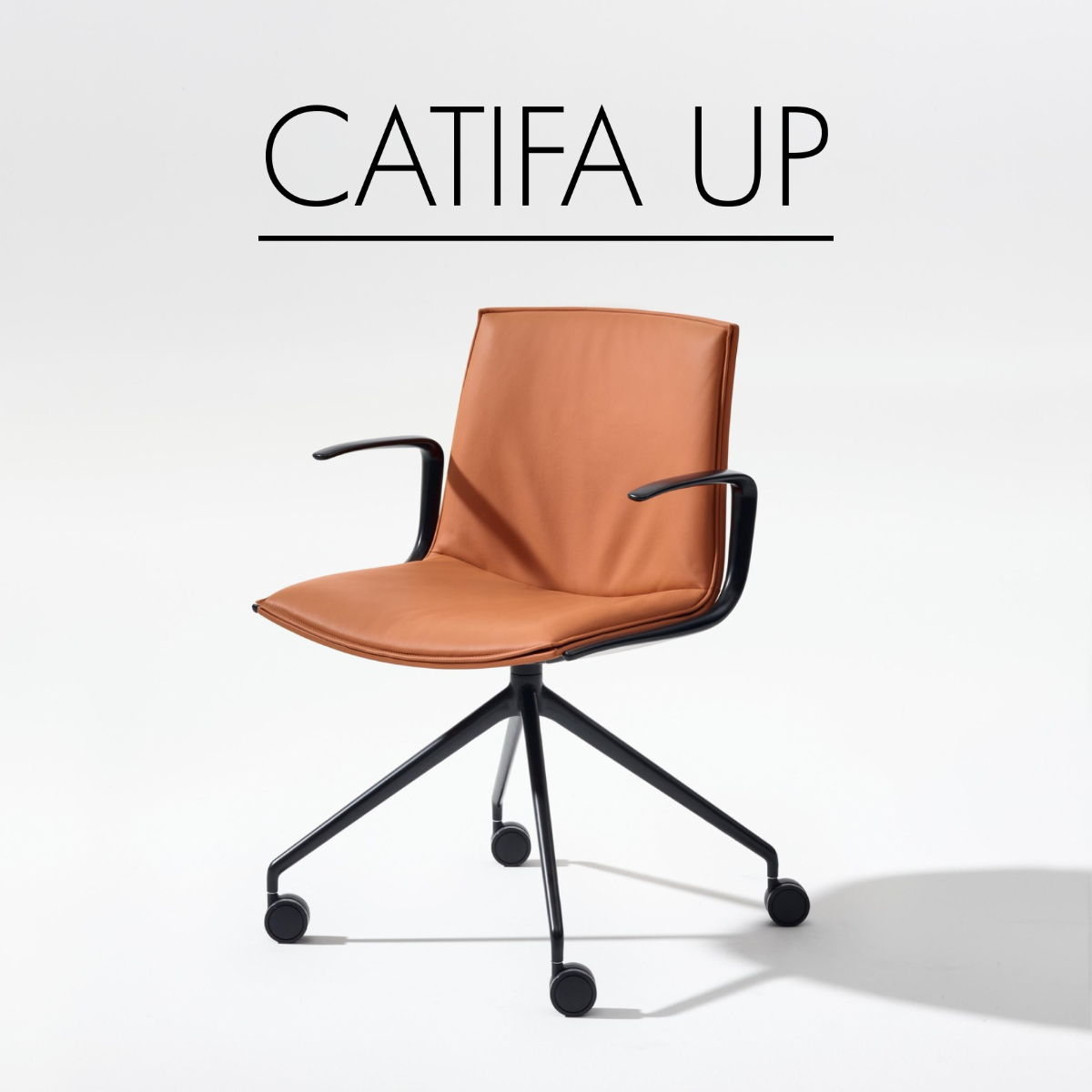 Catifa Up