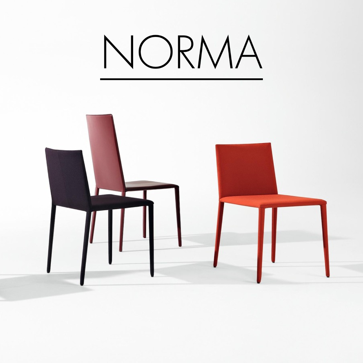 Norma