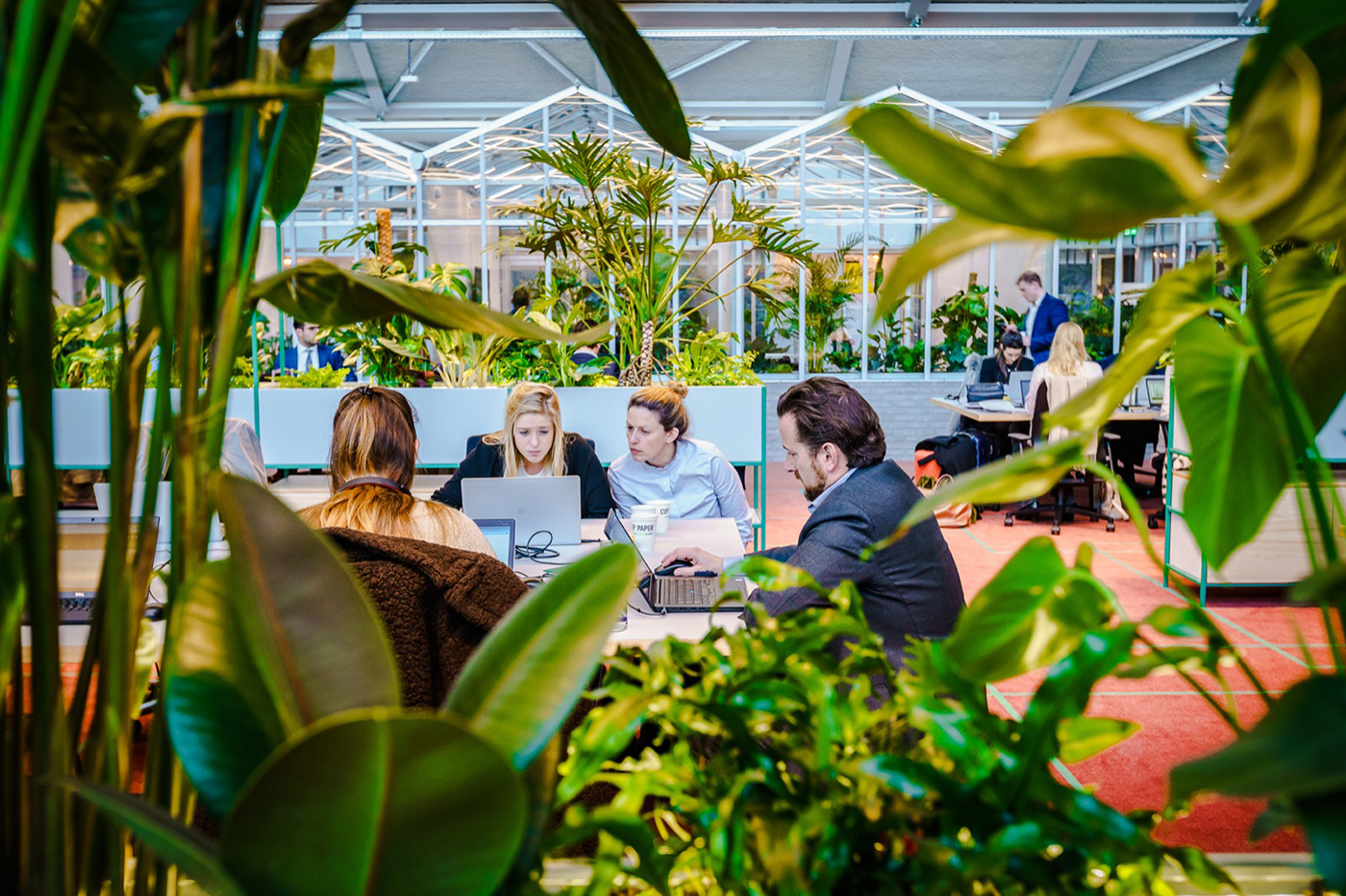 The Core, an office in a former garage from the 1950s in Amsterdam, designed by CBRE, with green design by Moss. Arper has supplied: Cross, Kinesit, Pix