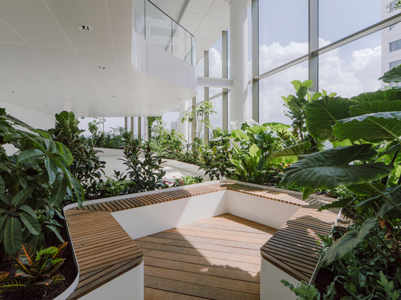 The tropical garden inside Central Park in Utrecht, a project by GroupA, green design by Moss, photo Jordi Huisman