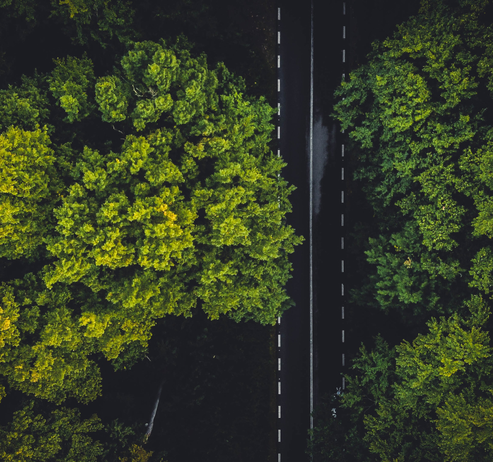Sustainability as a driver of transformation
